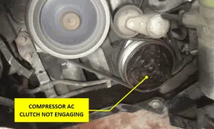 compressor ac clutch not engaging